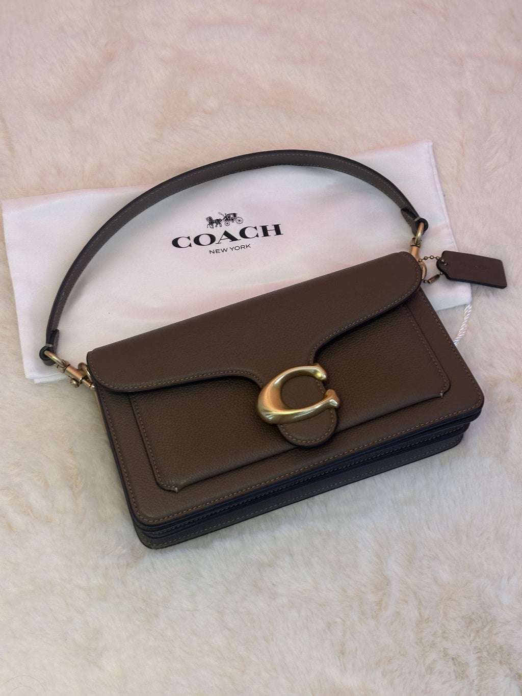 Modern Tabby 26 Shoulder Elegance