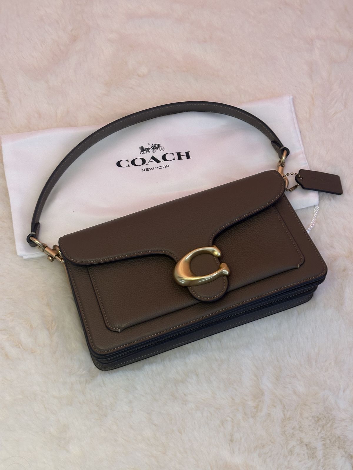 Modern Tabby 26 Shoulder Elegance