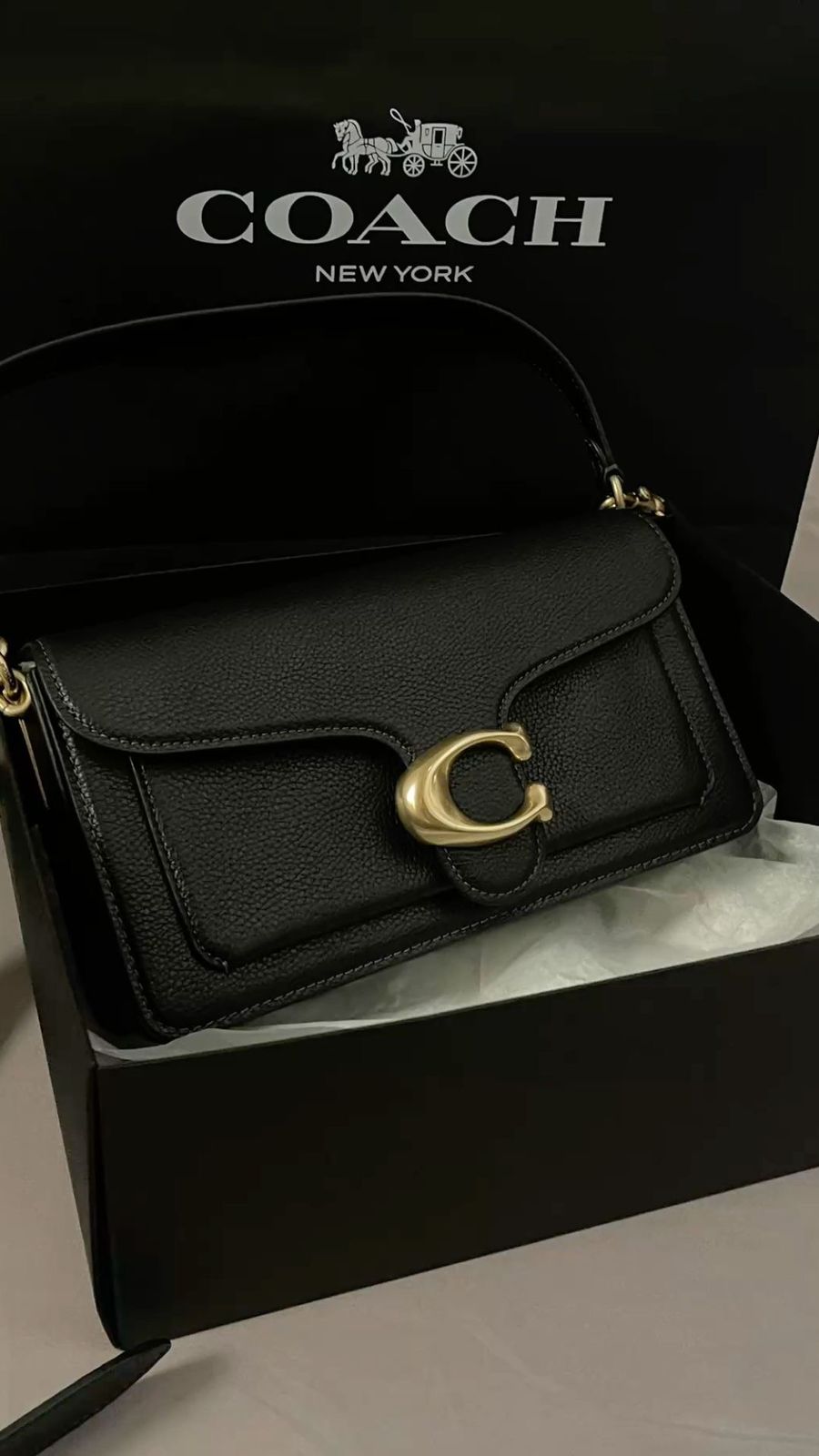 Modern Tabby 26 Shoulder Elegance