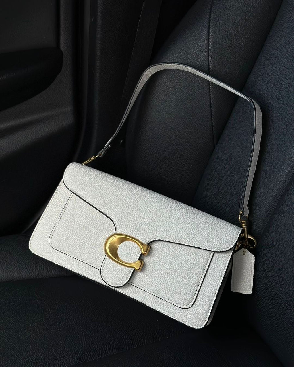 Modern Tabby 26 Shoulder Elegance